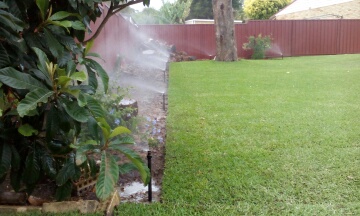 reticulation-rockingham